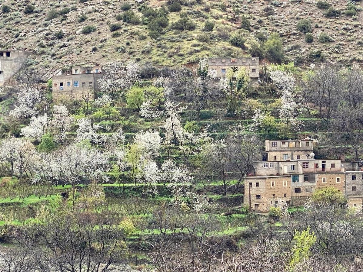 Amlougui House Panzió Asgaour Kültér fotó